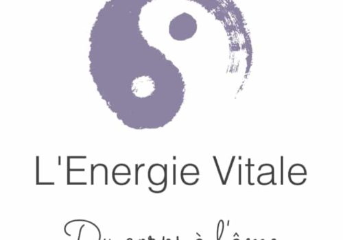 energie vitale logo energie vitale logo
