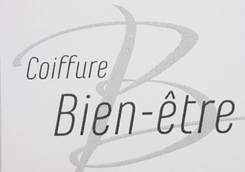 37755950_203328677030488_8124212342993977344_o coiffure bien être logo