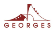Georges Georges